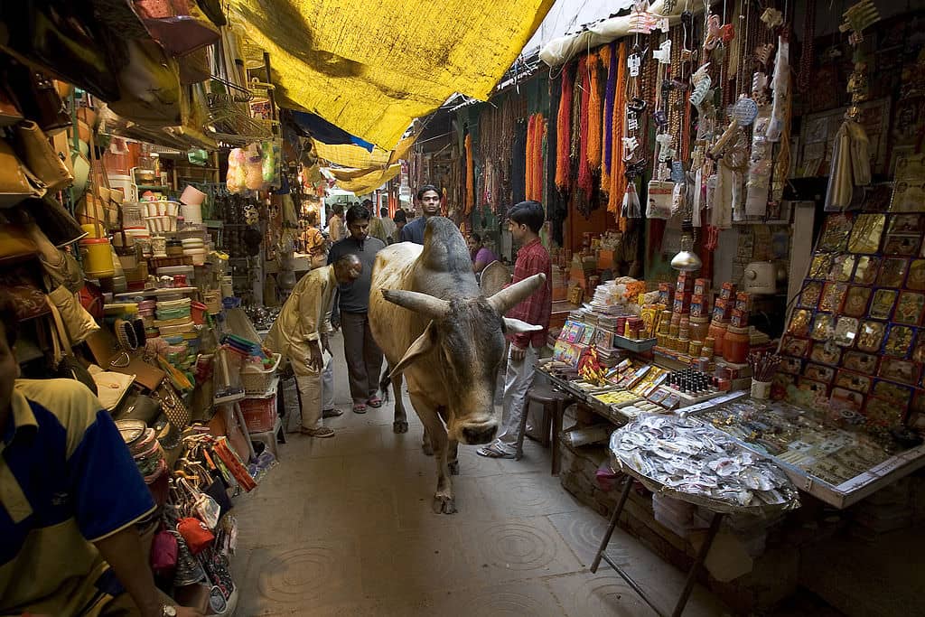 印度旅遊必知：「就是要教你詐！」的印度市集