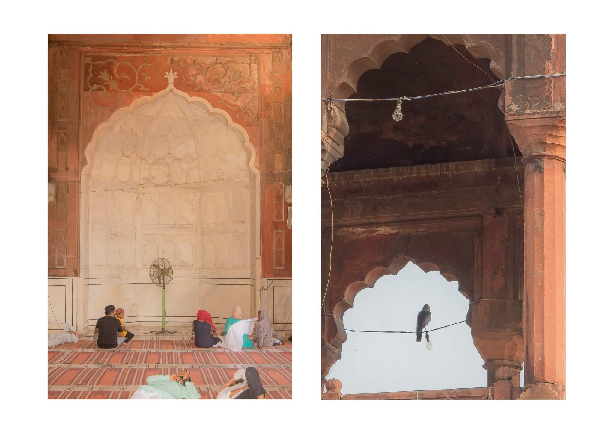 旅人攝影藝廊－Eid in Delhi 宰牲節