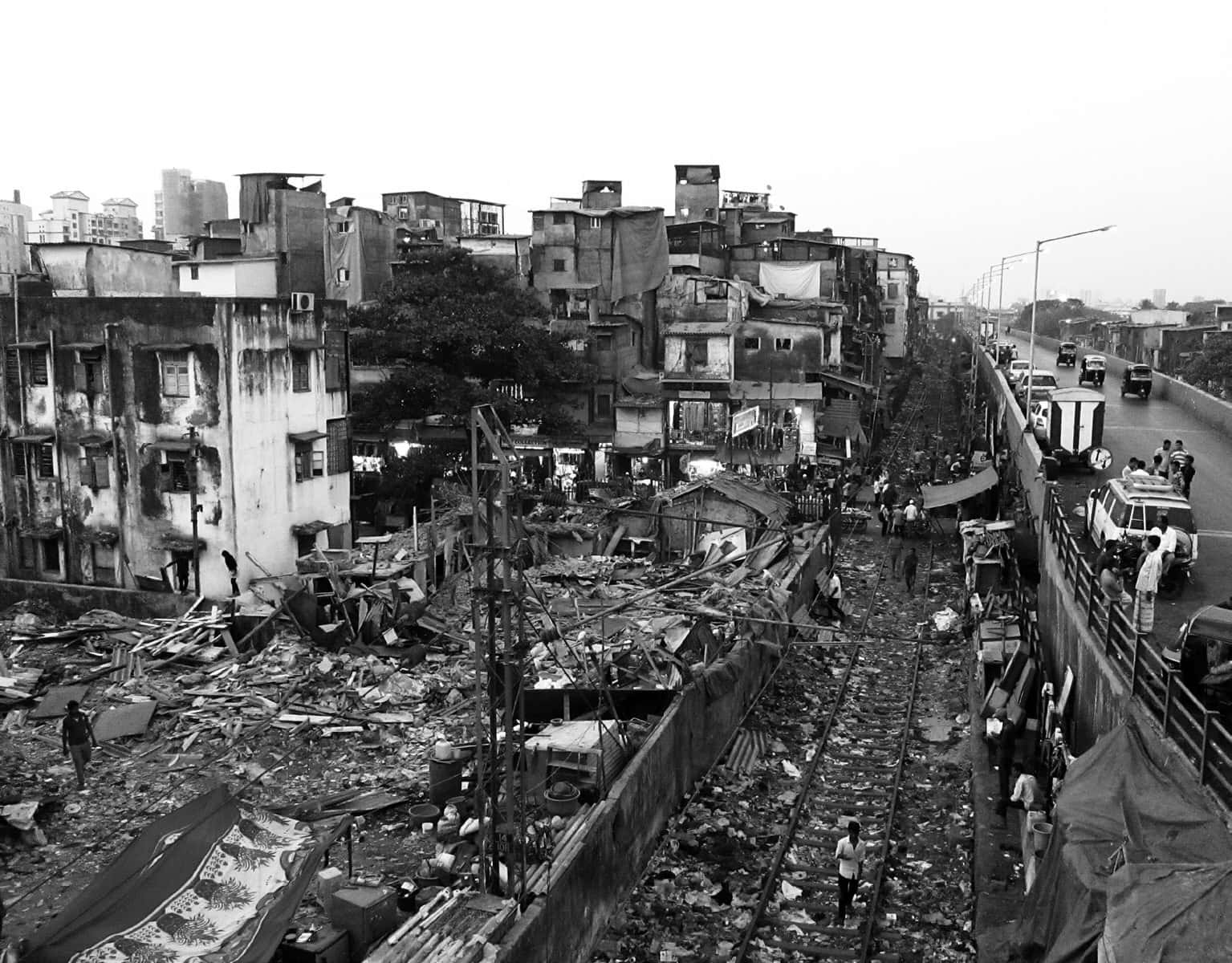 丈量印度：叢林百態的孟買生存法則？成為都市中的「過街老鼠」吧