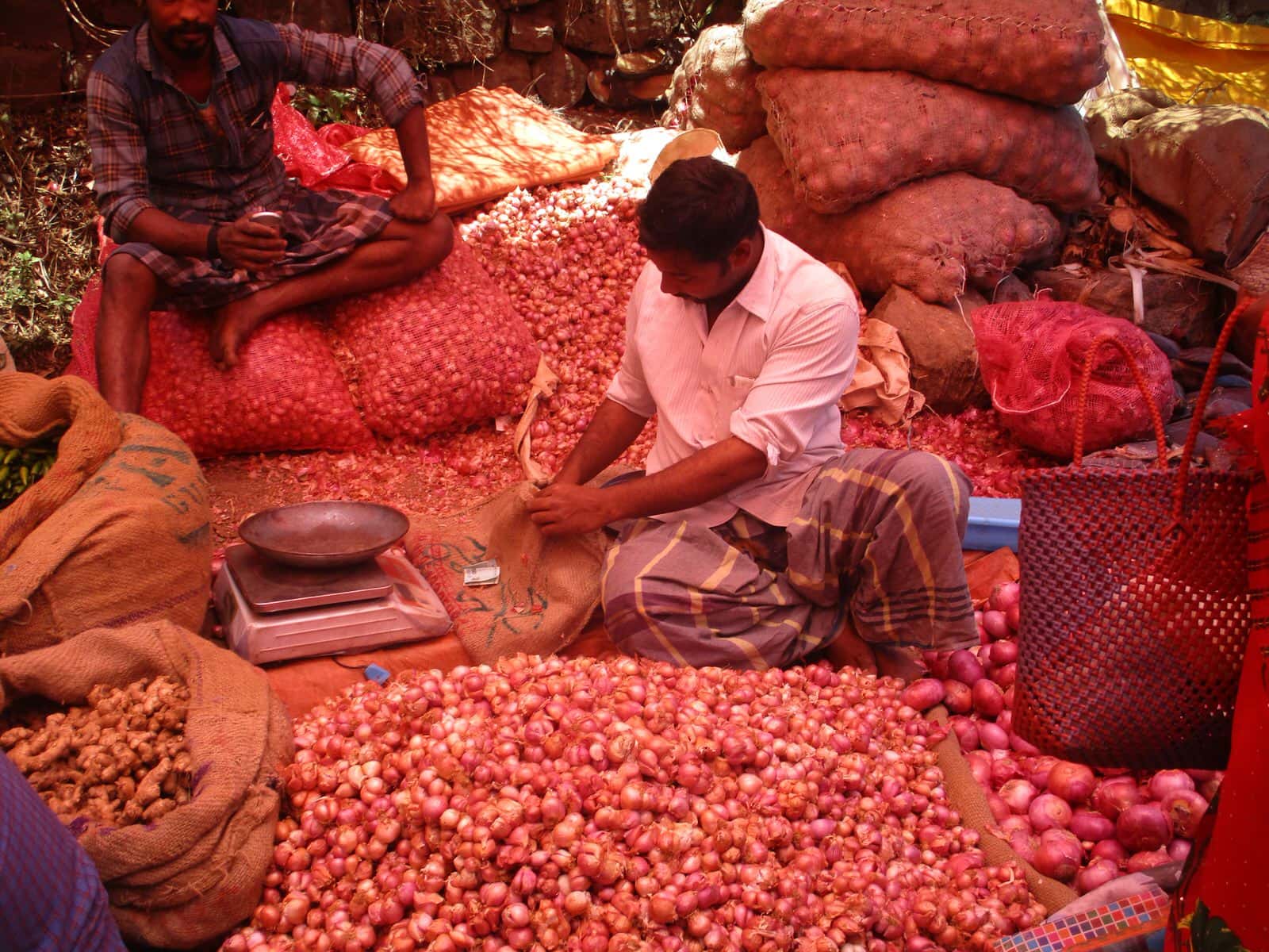 在印度，被稱作「窮人蔬菜」的洋蔥重要到可以左右政治！