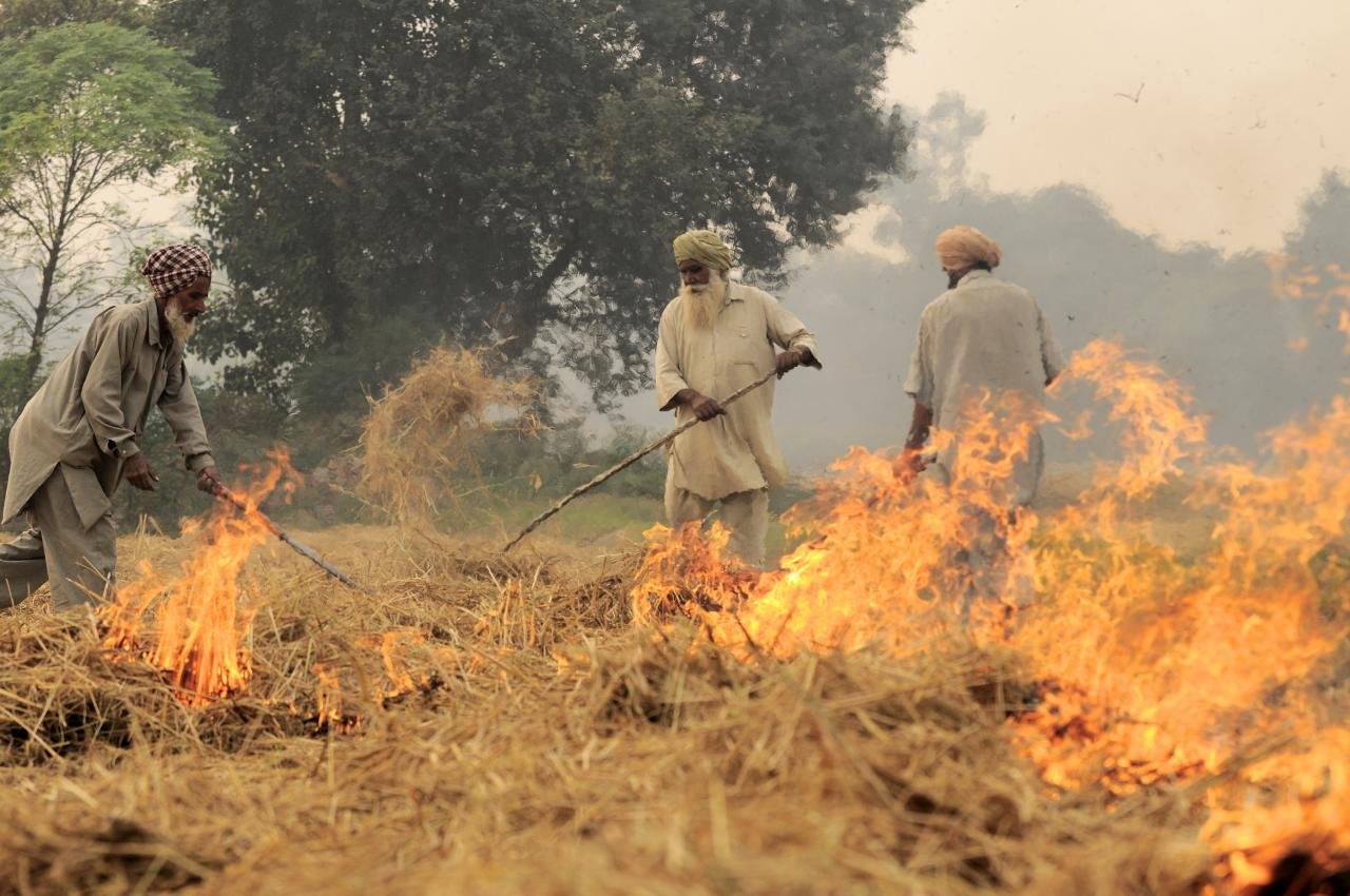 「前進德里」！印度全國農民展開反農業改革長期抗戰